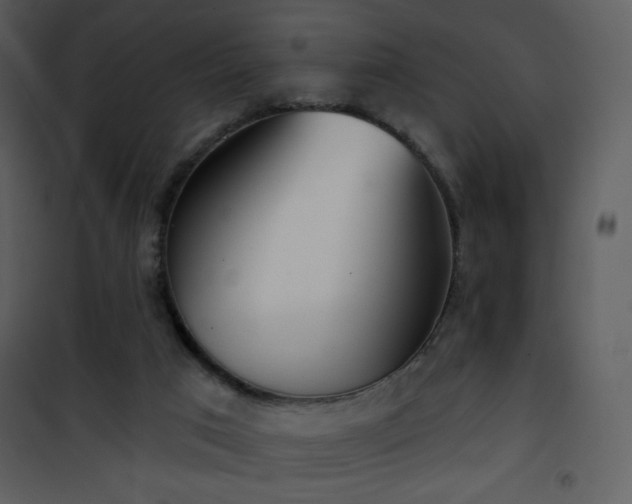 X0000102000017200807181215