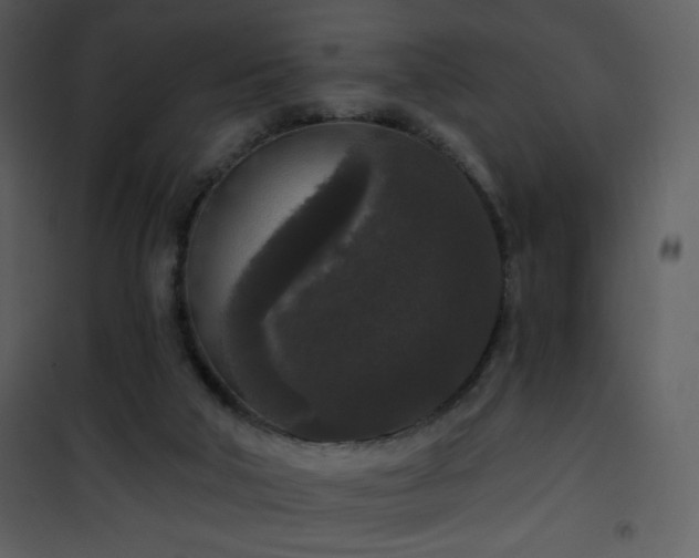 X0000102000018200807181215