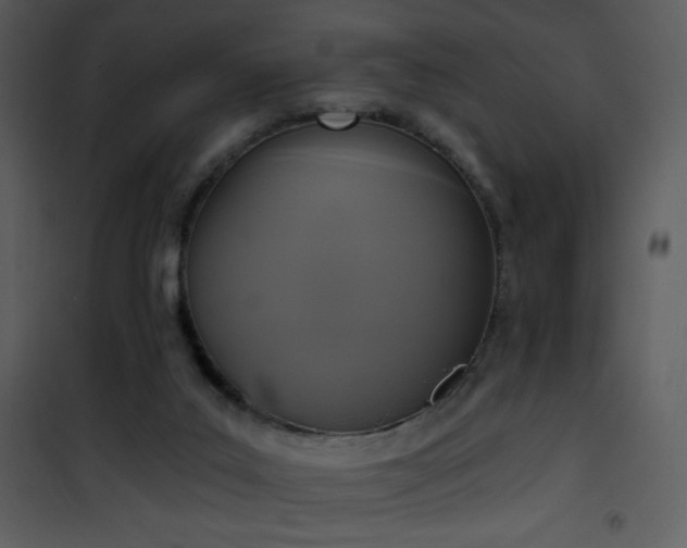 X0000102000019200807181215