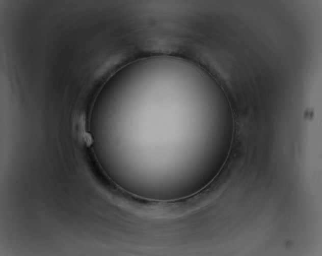 X0000102000020200807181215