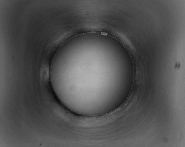 X0000102000021200807181215