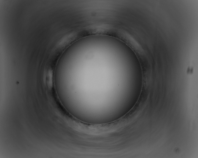 X0000102000022200807181215