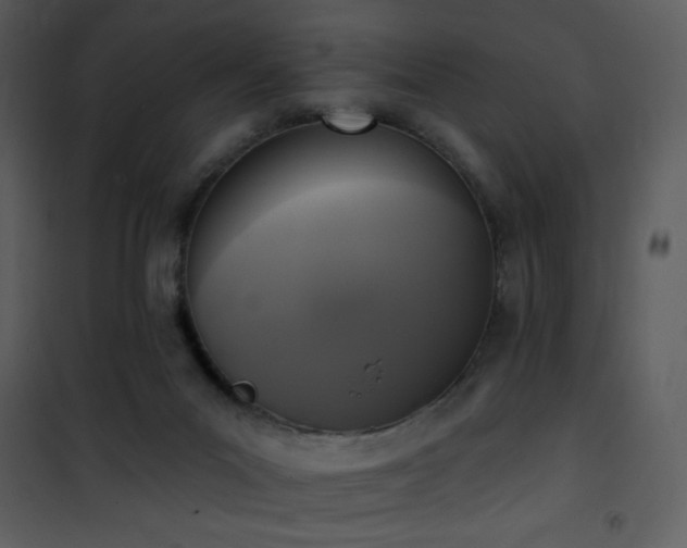 X0000102000023200807181215