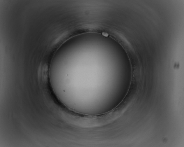 X0000102000024200807181215