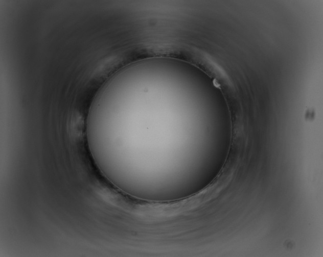 X0000102000025200807181215