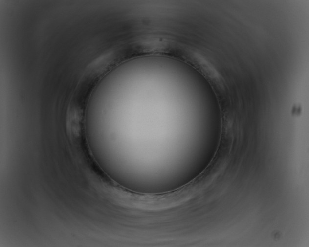 X0000102000026200807181215