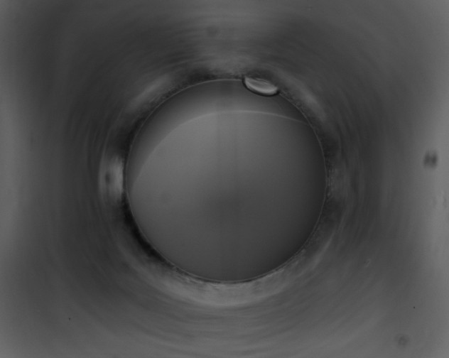 X0000102000027200807181215