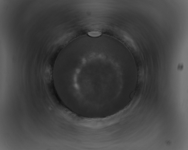 X0000102000029200807181215