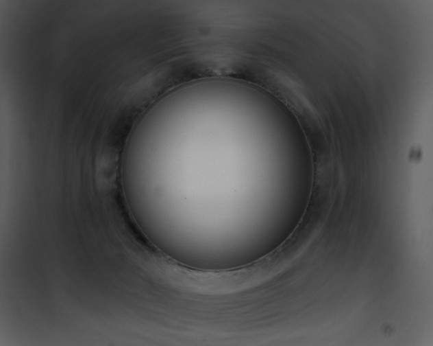 X0000102000030200807181215