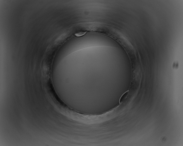 X0000102000031200807181215