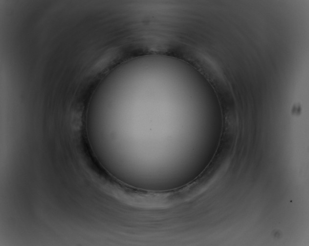 X0000102000032200807181215