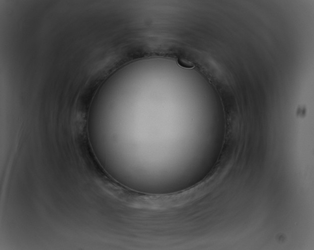 X0000102000033200807181215