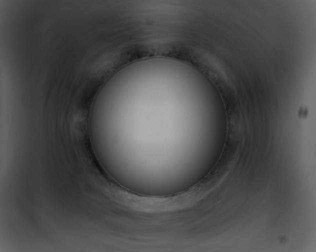 X0000102000034200807181215