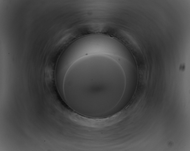 X0000102000035200807181215