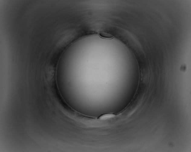 X0000102000036200807181215