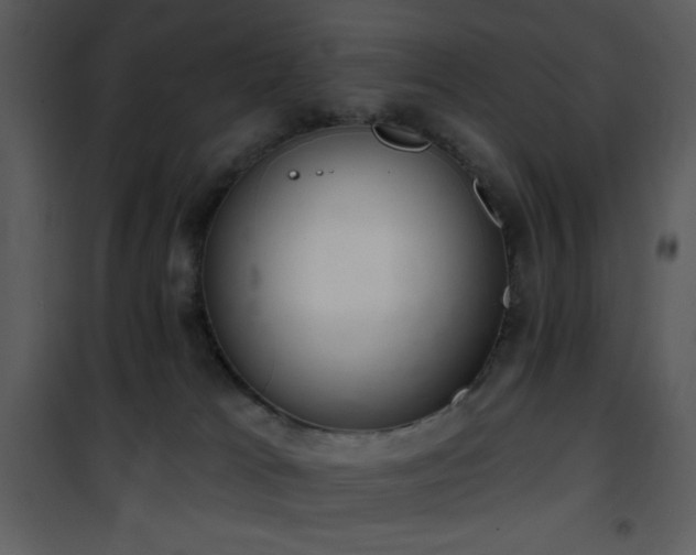 X0000102000037200807181215