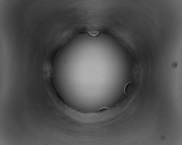 X0000102000038200807181215