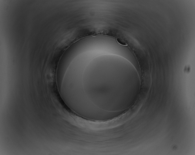 X0000102000039200807181215