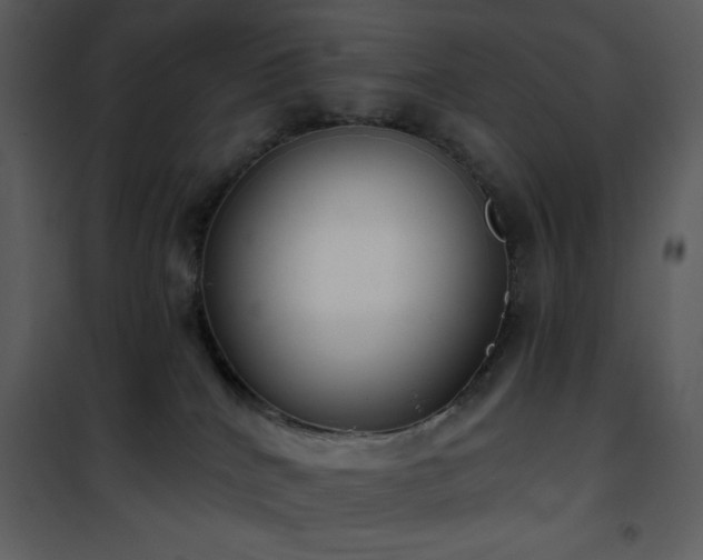 X0000102000040200807181215