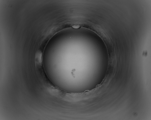 X0000102000041200807181215