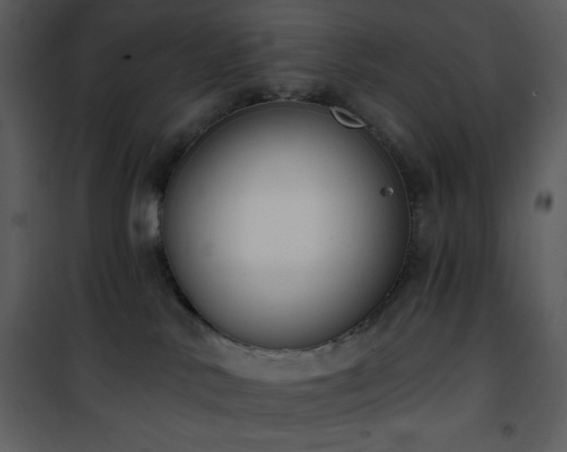 X0000102000042200807181215