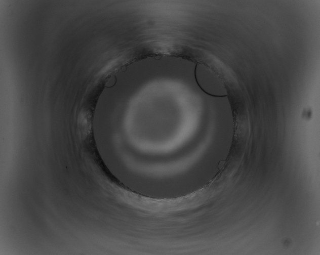 X0000102000043200807181215