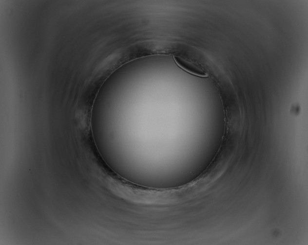 X0000102000044200807181215