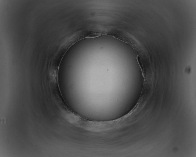 X0000102000045200807181215