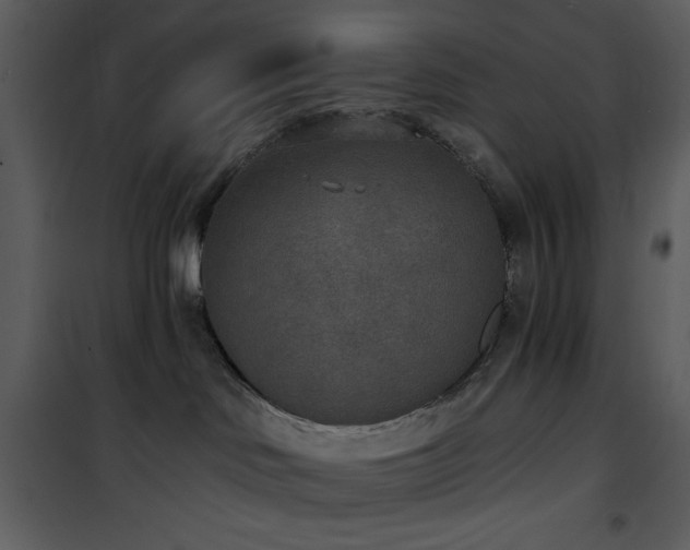 X0000102000046200807181215