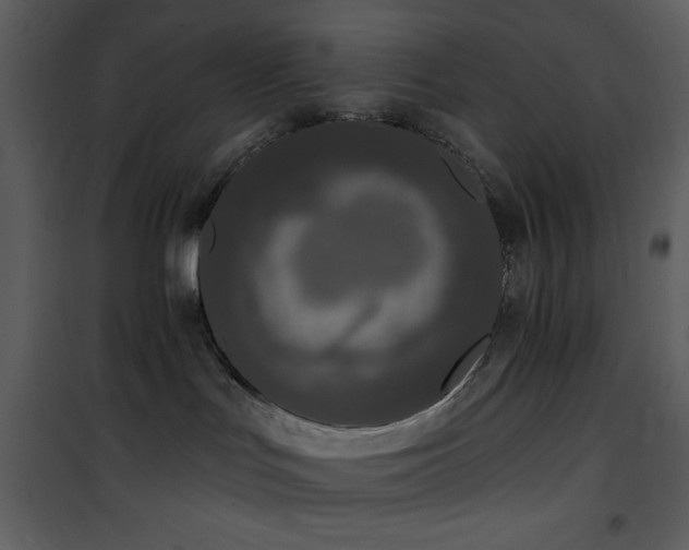 X0000102000047200807181215