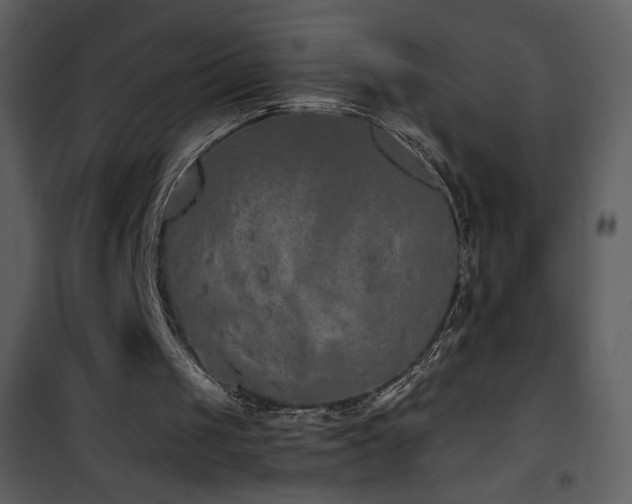 X0000102000049200807181214