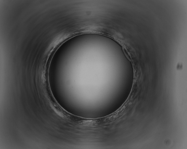 X0000102000050200807181214