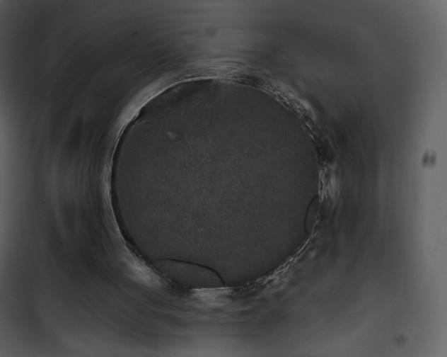 X0000102000051200807181214