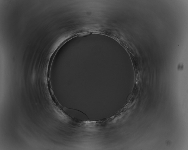 X0000102000052200807181214