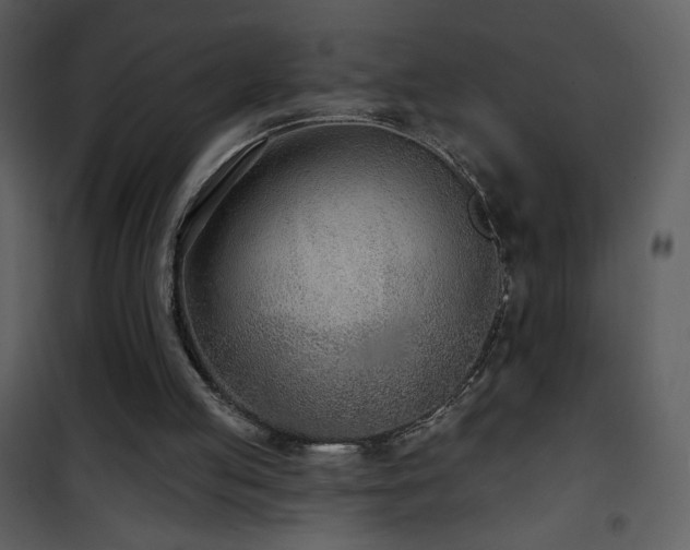 X0000102000053200807181214