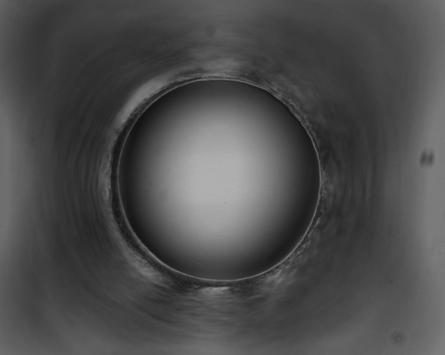 X0000102000054200807181214