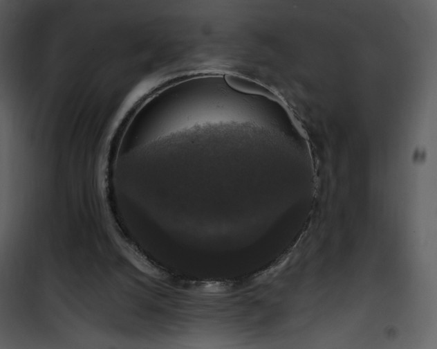 X0000102000056200807181214