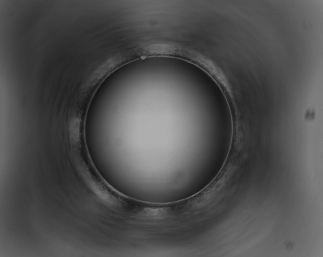 X0000102000057200807181214