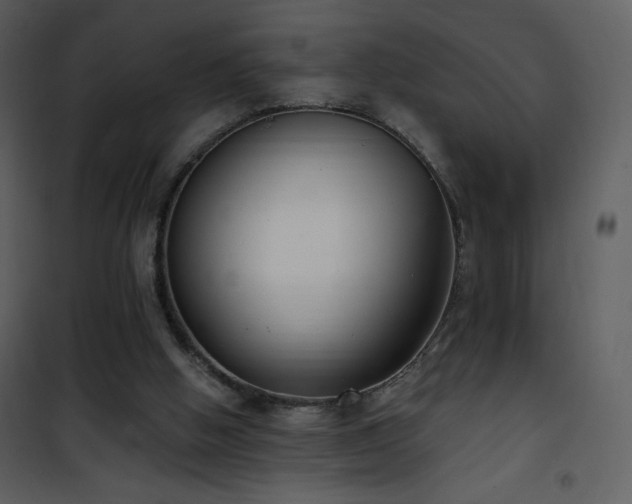 X0000102000058200807181214