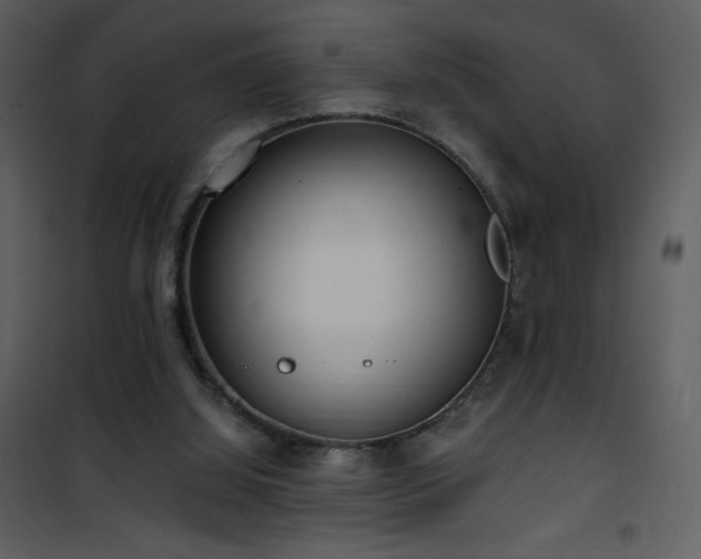 X0000102000060200807181214