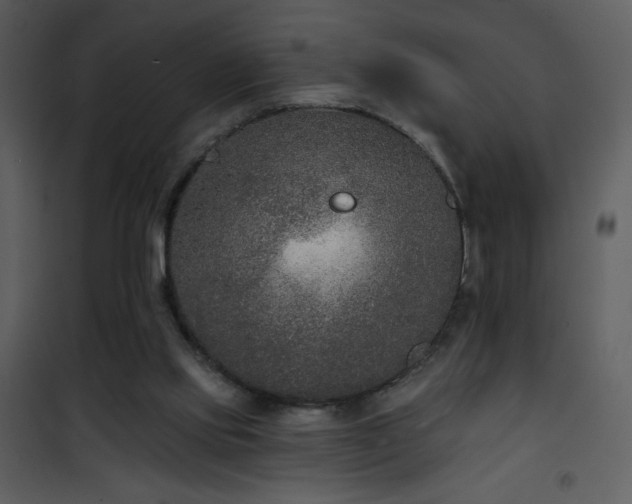 X0000102000061200807181214