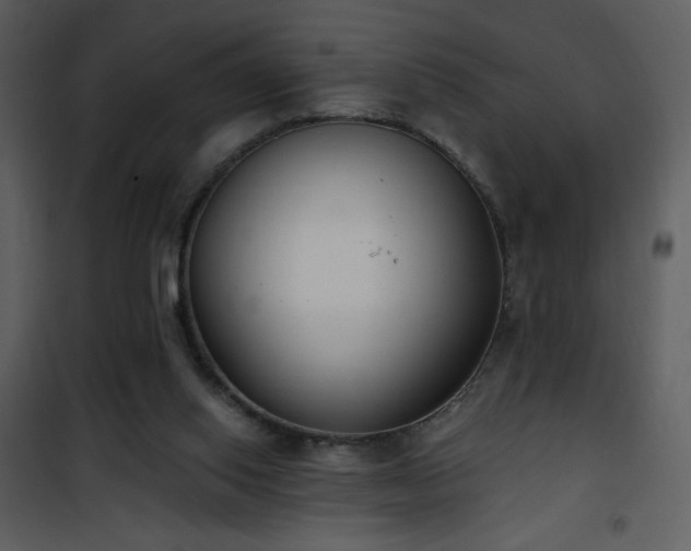 X0000102000062200807181214