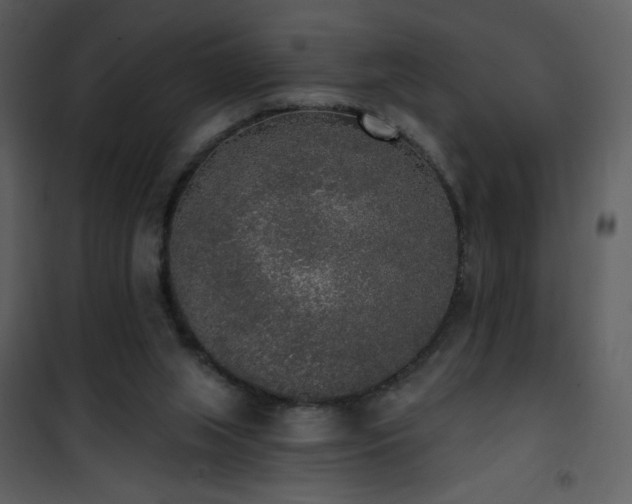 X0000102000063200807181214