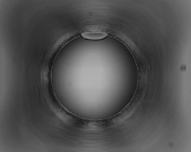 X0000102000064200807181214