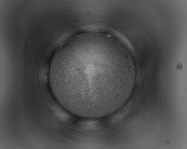 X0000102000065200807181214