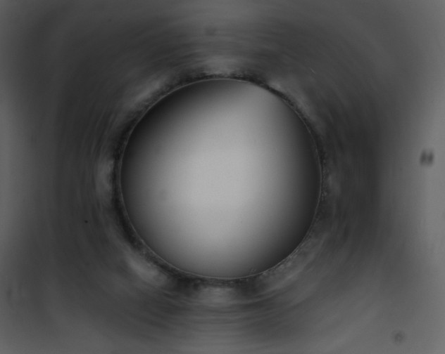 X0000102000066200807181214