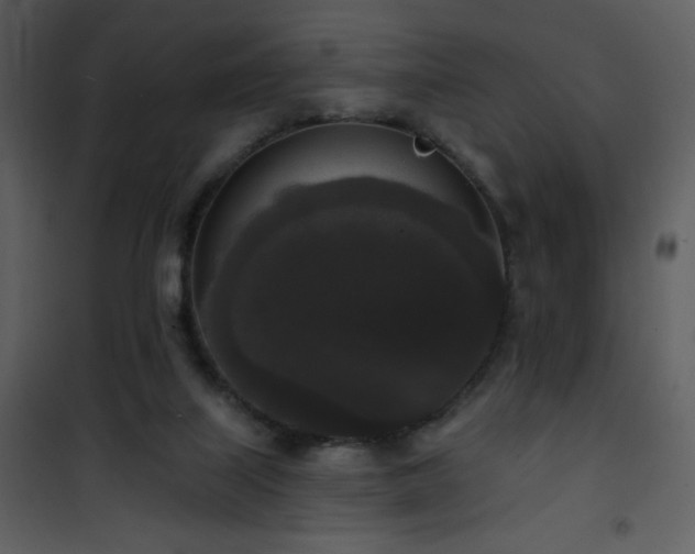 X0000102000067200807181214