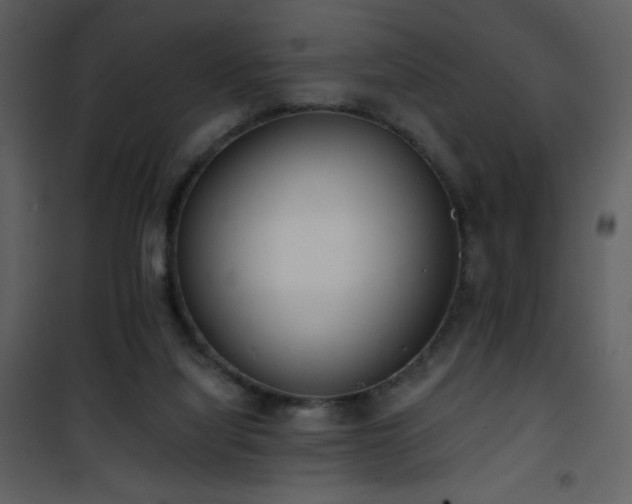 X0000102000068200807181214