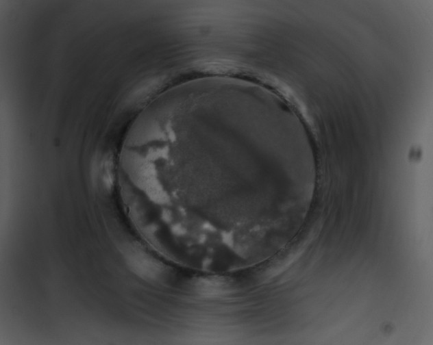 X0000102000069200807181214