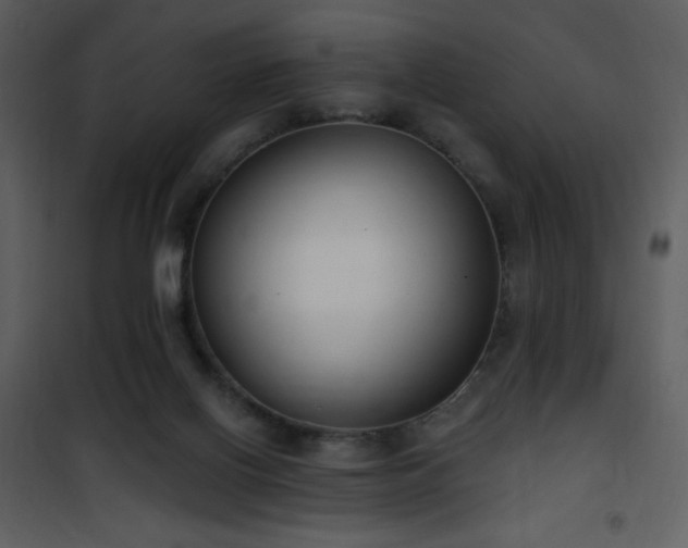 X0000102000070200807181214